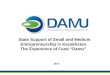 State Support of Small and Medium Entrepreneurship in Kazakhstan. The Experience of Fund “Damu” 2012