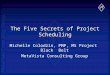 The Five Secrets of Project Scheduling Michelle Colodzin, PMP, MS Project Black Belt MetaVista Consulting Group