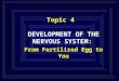 Topic 4 DEVELOPMENT OF THE NERVOUS SYSTEM: From Fertilized Egg to You