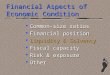 Financial Aspects of Economic Condition l Common-size ratios l Financial position l Liquidity & Solvency l Fiscal capacity l Risk & exposure l Other