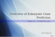 Overview of Eukaryotic Gene Prediction CBB 231 / COMPSCI 261 W.H. Majoros