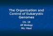 The Organization and Control of Eukaryotic Genomes Ch. 19 AP Biology Ms. Haut