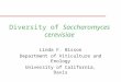 Diversity of Saccharomyces cerevisiae Linda F. Bisson Department of Viticulture and Enology University of California, Davis