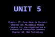 UNIT 5 Chapter 17: From Gene to Protein Chapter 18: Microbial Models Chapter 19: The Organization & Control of Eukaryotic Genomes Chapter 20: DNA Technology