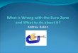 Andrew Baker. What is wrong with the Euro Zone and what to do about it? Break up messy and potentially catastrophic – need a better designed Euro zone