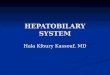 HEPATOBILARY SYSTEM Hala Kfoury Kassouf, MD. NORMAL LIVER