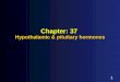 1 1 Chapter: 37 Hypothalamic & pituitary hormones