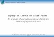 Supply of Labour on Irish Farms An analysis of agricultural labour data from Census of Agriculture 2010 4th Business Statistics Seminar _Agriculture_Nov