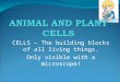 CELLS – The building blocks of all living things. Only visible with a microscope!