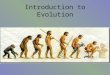 Introduction to Evolution. Darwin’s Theory of Evolution Evolution, or change over time, is the theory of the process by which modern organisms have descended