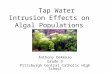 Tap Water Intrusion Effects on Algal Populations Anthony DeRenzo Grade 9 Pittsburgh Central Catholic High School