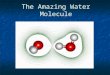 The Amazing Water Molecule. States of Water Water is unique in that it is the only natural state that is found in all three states. Water is unique in