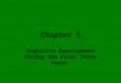 Chapter 5 Cognitive Development During the First Three Years