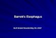 Barrett’s Esophagus SLR Grand Rounds May 30, 2007