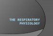 Respiratory System  Why is our respiratory system so important? We require oxygen for cell growth and repair.  The four functions of the respiratory