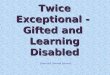1 Twice Exceptional - Gifted and Learning Disabled Gifted and Talented Services