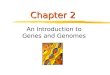 Chapter 2 An Introduction to Genes and Genomes. Introduction to Molecular Biology