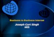 Business to Business Internet Joseph Curt Singh MIS