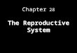 Chapter 28 The Reproductive System. 100 keys, pg. 1038 “Meiosis produces gametes that contain half the number of chromosomes found in somatic cells. For