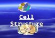 Cell Structure. I. Looking at Cells  A. Scientists only became aware of cells after the invention of the microscope.  1. 1665:Robert Hooke observed