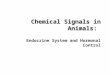 Chemical Signals in Animals: Chemical Signals in Animals: Endocrine System and Hormonal Control