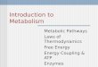 Introduction to Metabolism Metabolic Pathways Laws of Thermodynamics Free Energy Energy Coupling & ATP Enzymes