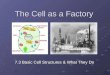 The Cell as a Factory 7.3 Basic Cell Structures & What They Do