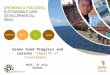 Green Fund Progress and Lessons “Impacts of Investment” NCPC, 22 July Durban