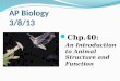 AP Biology 3/8/13 Chp.40: An Introduction to Animal Structure and Function