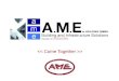 >. A.M.E. Holding GmbH > Management of the company > Executive Manager: Managerial Director: Cristian Ionescu Technical Manager: Iuliu Chis Acquisitions