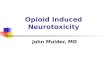 Opioid Induced Neurotoxicity John Mulder, MD. “It’s not being dead that I’m afraid of - it’s getting there.” -- Andy Warhol