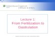 Copyright © 2010 Wolters Kluwer Health | Lippincott Williams & Wilkins Lecture 1: From Fertilization to Gastrulation