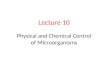 Lecture 10 Physical and Chemical Control of Microorganisms