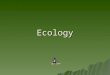 Ecology. WHAT IS ECOLOGY?  Ecology then means the Study of the “House” in which we live
