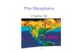 1 The Biosphere Chapter 58. 2 Effects of Sun, Wind, Water Biosphere: includes all living communities on Earth Global patterns of life on Earth are influenced