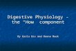 Digestive Physiology - the “How” component By Karla Nix and Donna Mook