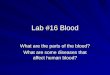 Lab #16 Blood What are the parts of the blood? What are some diseases that affect human blood?
