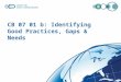 CB 07 01 b: Identifying Good Practices, Gaps & Needs