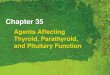 Chapter 35 Agents Affecting Thyroid, Parathyroid, and Pituitary Function