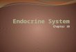 Chapter 10. Regulating Body Function Working closely with your nervous system is the endocrine system, a chemical communication system that regulate many