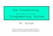 The Interesting (often overlooked, yet totally obvious) Integumentary System Ms. Bjorge NOTICE: The following presentation contains copyrighted materials
