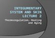 Thermoregulation, Healing and Aging. Regulation of Body Temperature  Slight shifts in temperature can disrupt metabolic rates  Stable temperature is