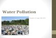 Water Pollution Chapter 21 (pgs 338-355). Section 21.1 Water Pollution Problem Objectives: Explain the link between water pollution and human disease