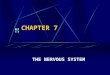 CHAPTER 7 THE NERVOUS SYSTEM Introduction The Nervous System (NS) is the master controlling and communicating system of the body