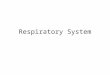 Respiratory System. Functions Supply oxygen to the body Breathing  the movement of chest that brings air into lungs and removes waste gases Cellular