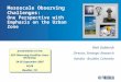Mesoscale Observing Challenges: One Perspective with Emphasis on the Urban Zone presentation to the: NSF Observing Facilities Users Workshop 24-26 September