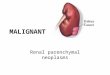 MALIGNANT Renal parenchymal neoplasms. ADENOCARCINOMA OF THE KIDNEY (RCC)