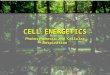 CELL ENERGETICS Photosynthesis and Cellular Respiration