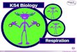 © Boardworks Ltd 2004 1 of 57 Respiration KS4 Biology