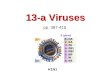13-a Viruses pp. 387-415 H1N1. 2 Viruses Size, Structure, Morphology Taxonomy Growth Identification